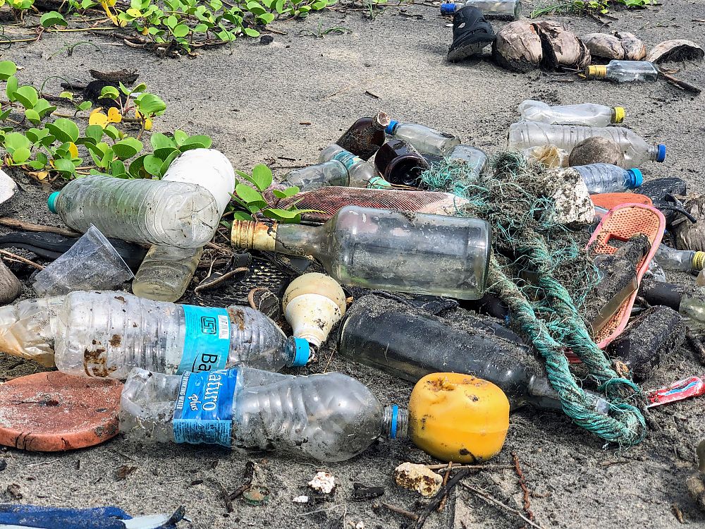 Litter