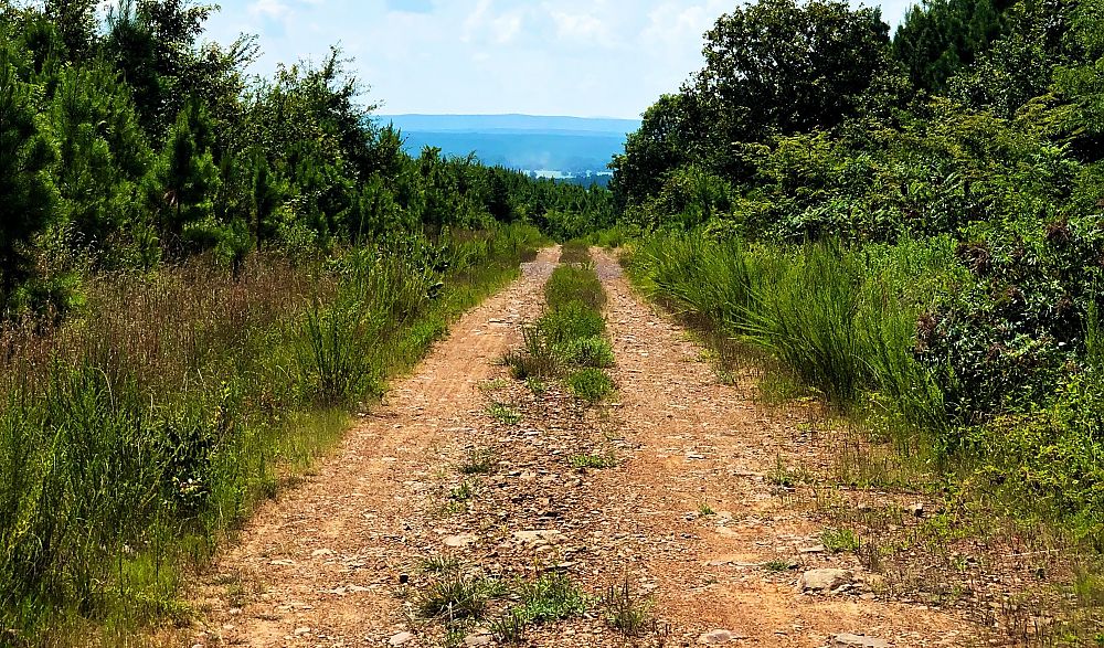 Road