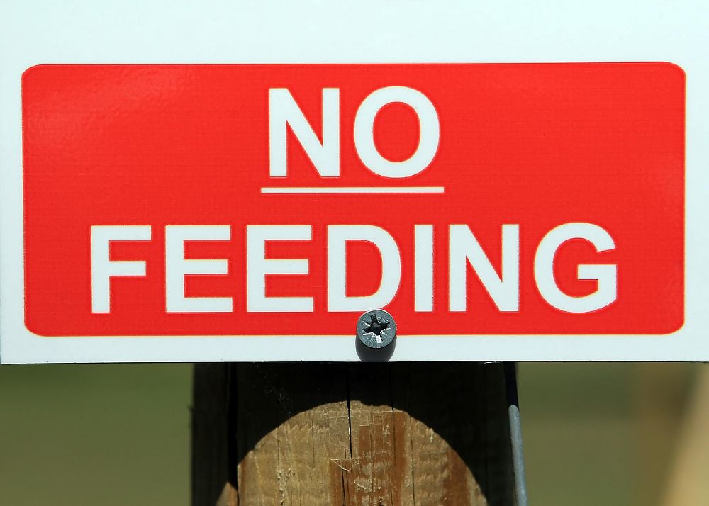 No Feeding