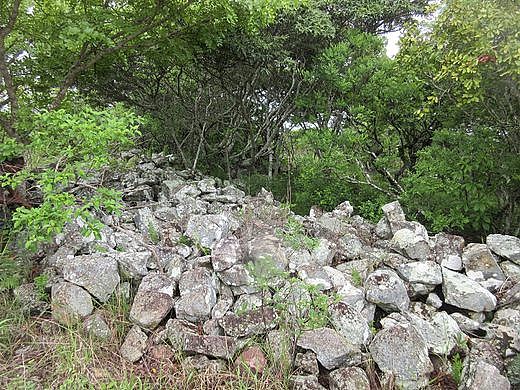 Fort Zombe