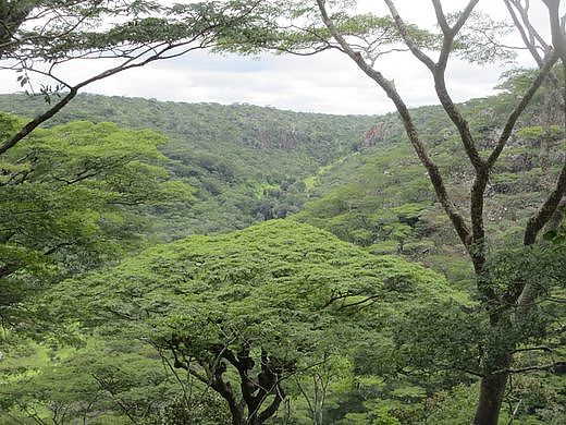 Itimbwe Gorge