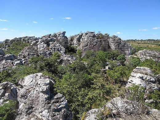 Mwela Rock Art Paintings