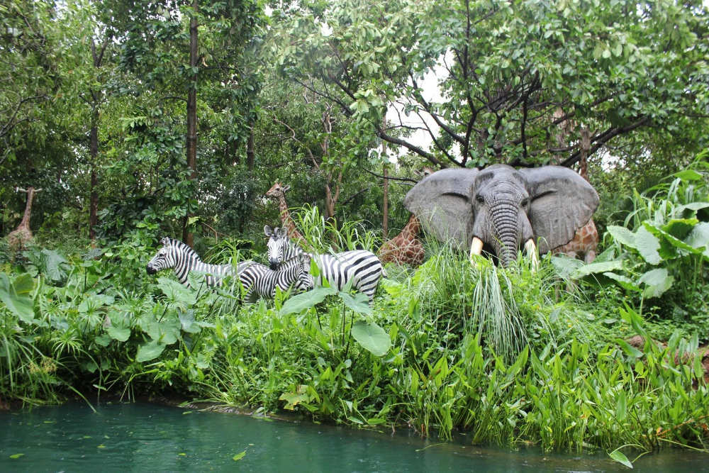 Wildlife Conservation