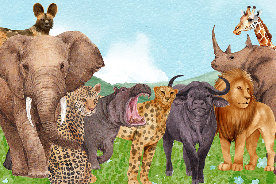 Endangered Species in Zambia