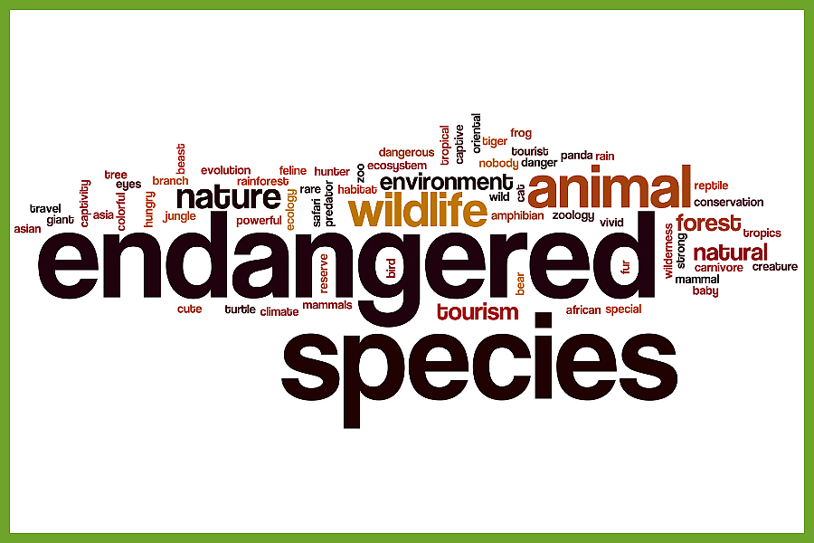 Endangered Species in Zambia
