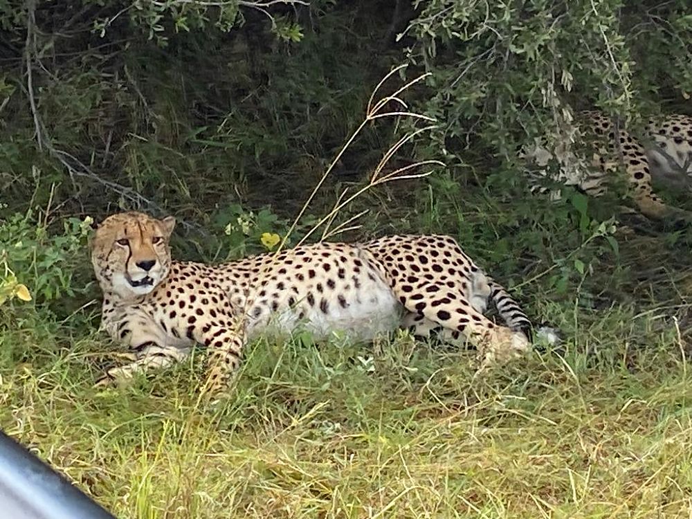 Hwange Zimbabwe