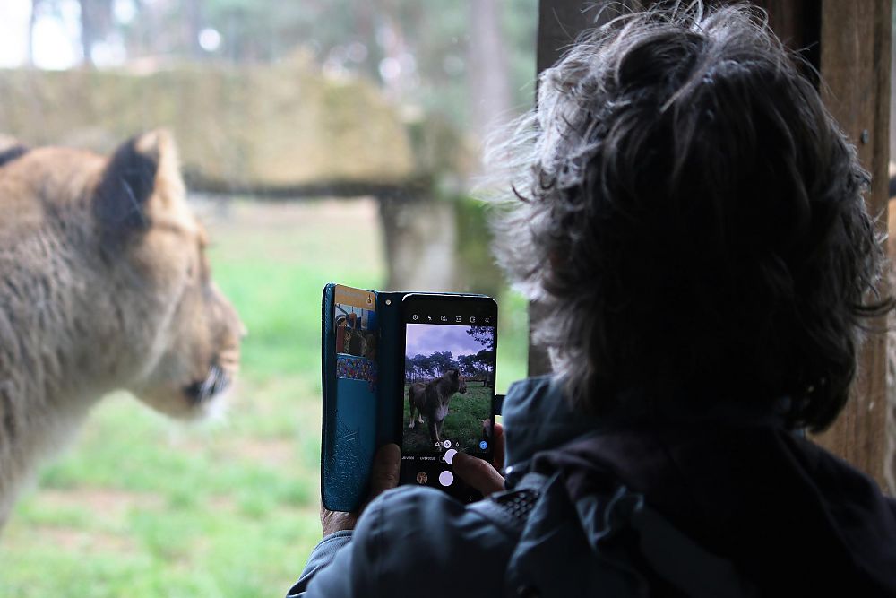 Camera Smartphone