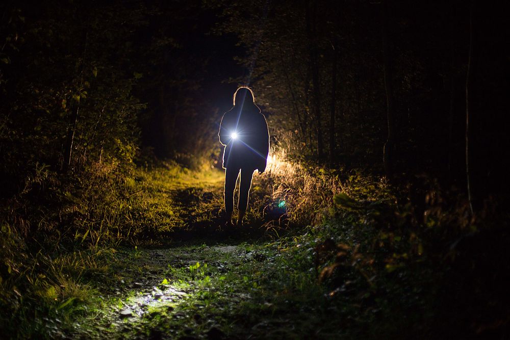Flashlight Bush