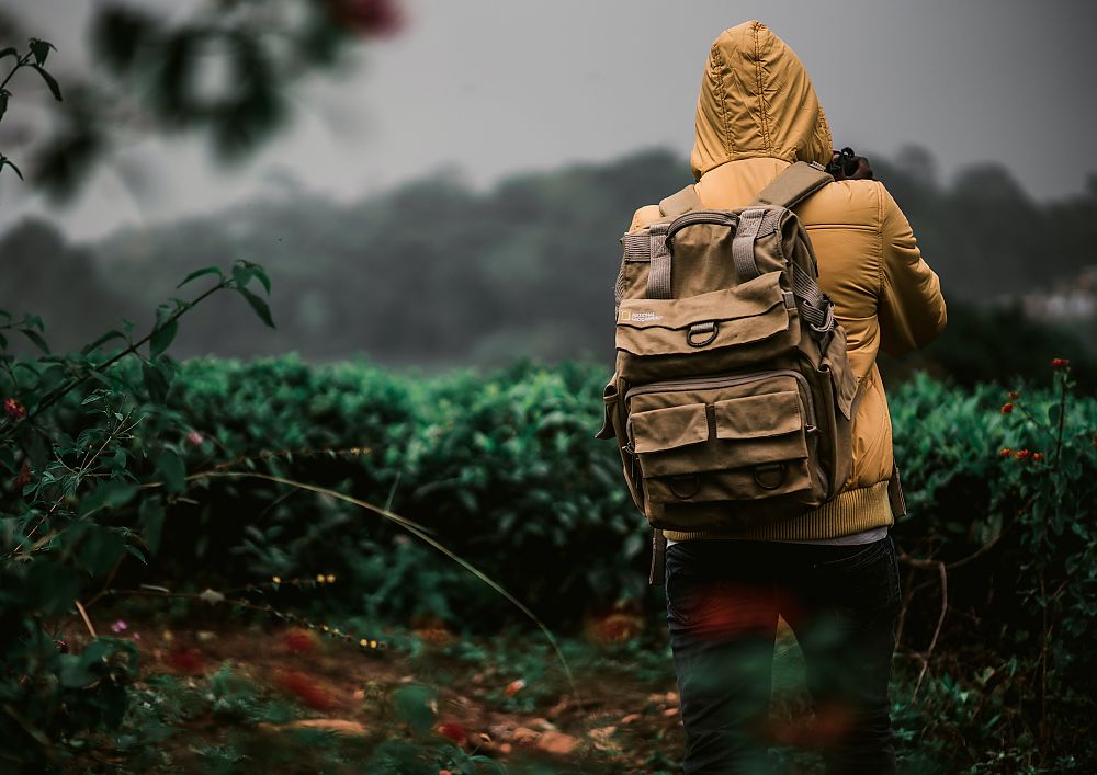 Safari Backpack