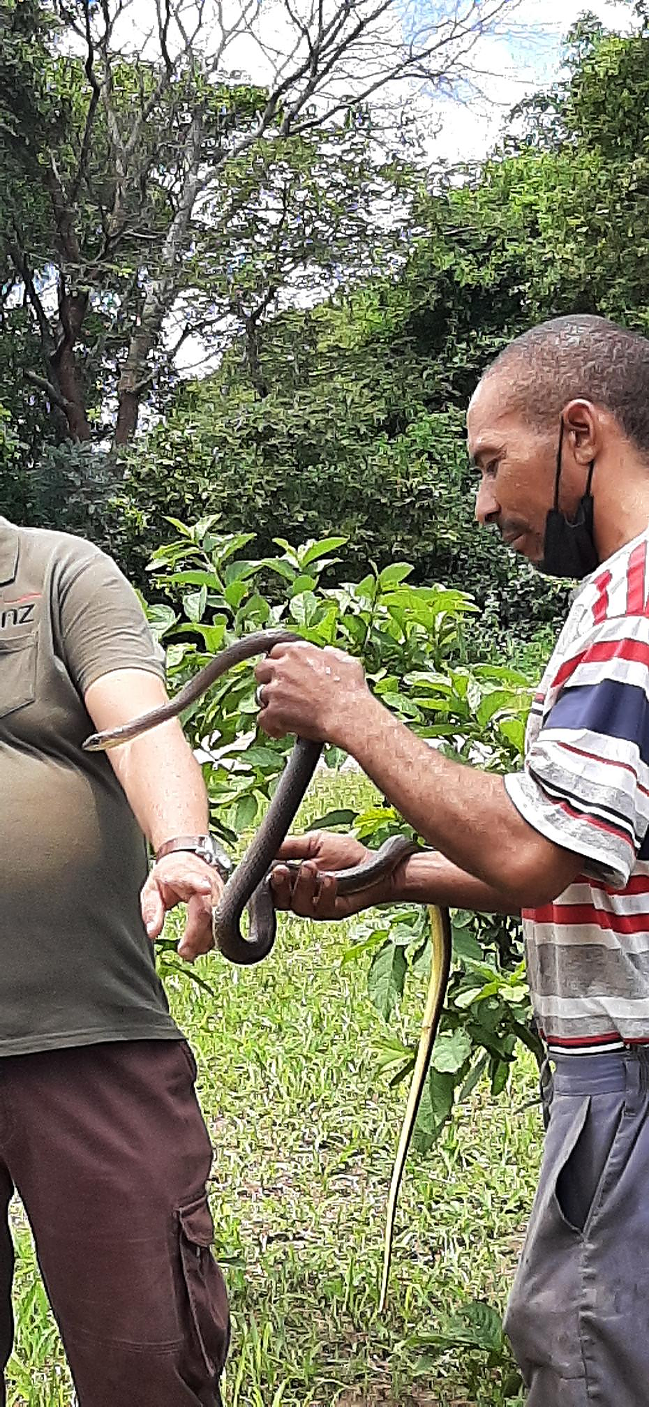 Voyagers Snake Awareness Training Day