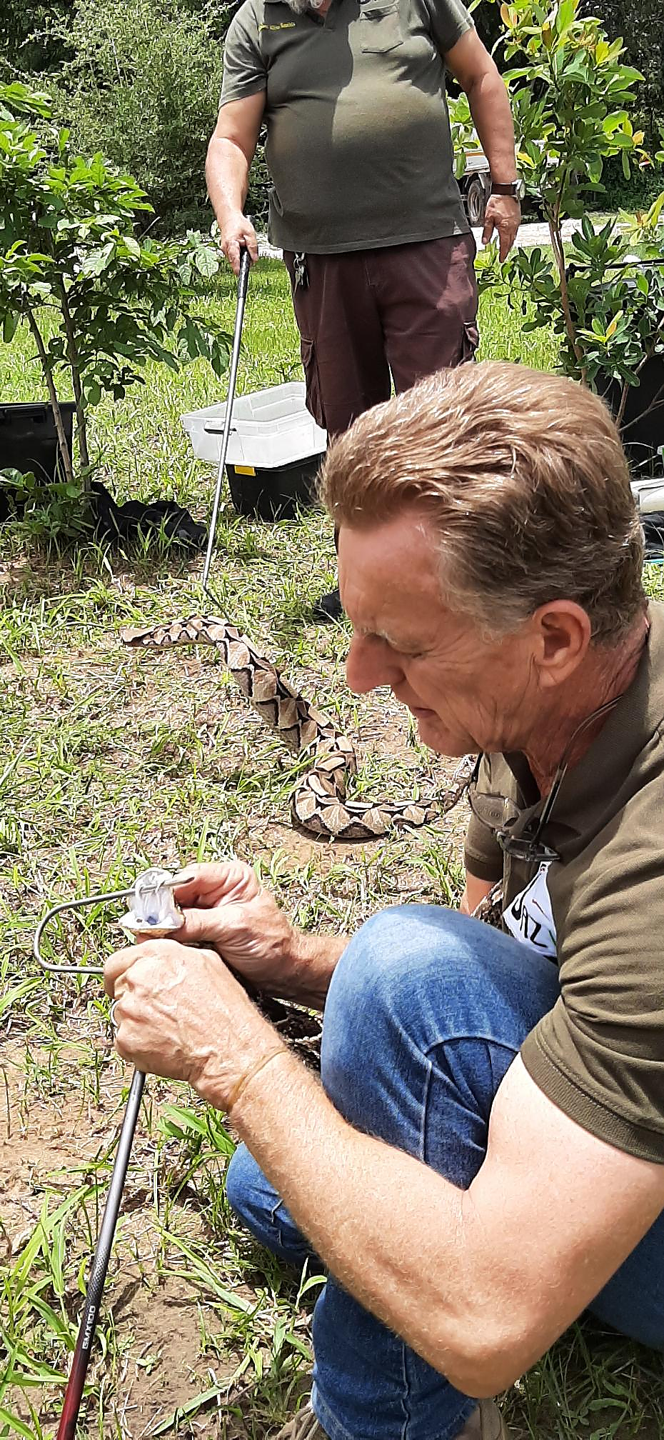 Voyagers Snake Awareness Training Day
