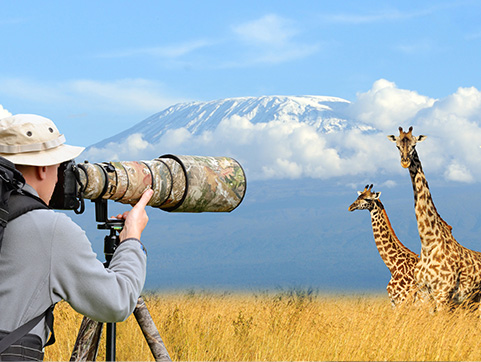 Photographic Safaris