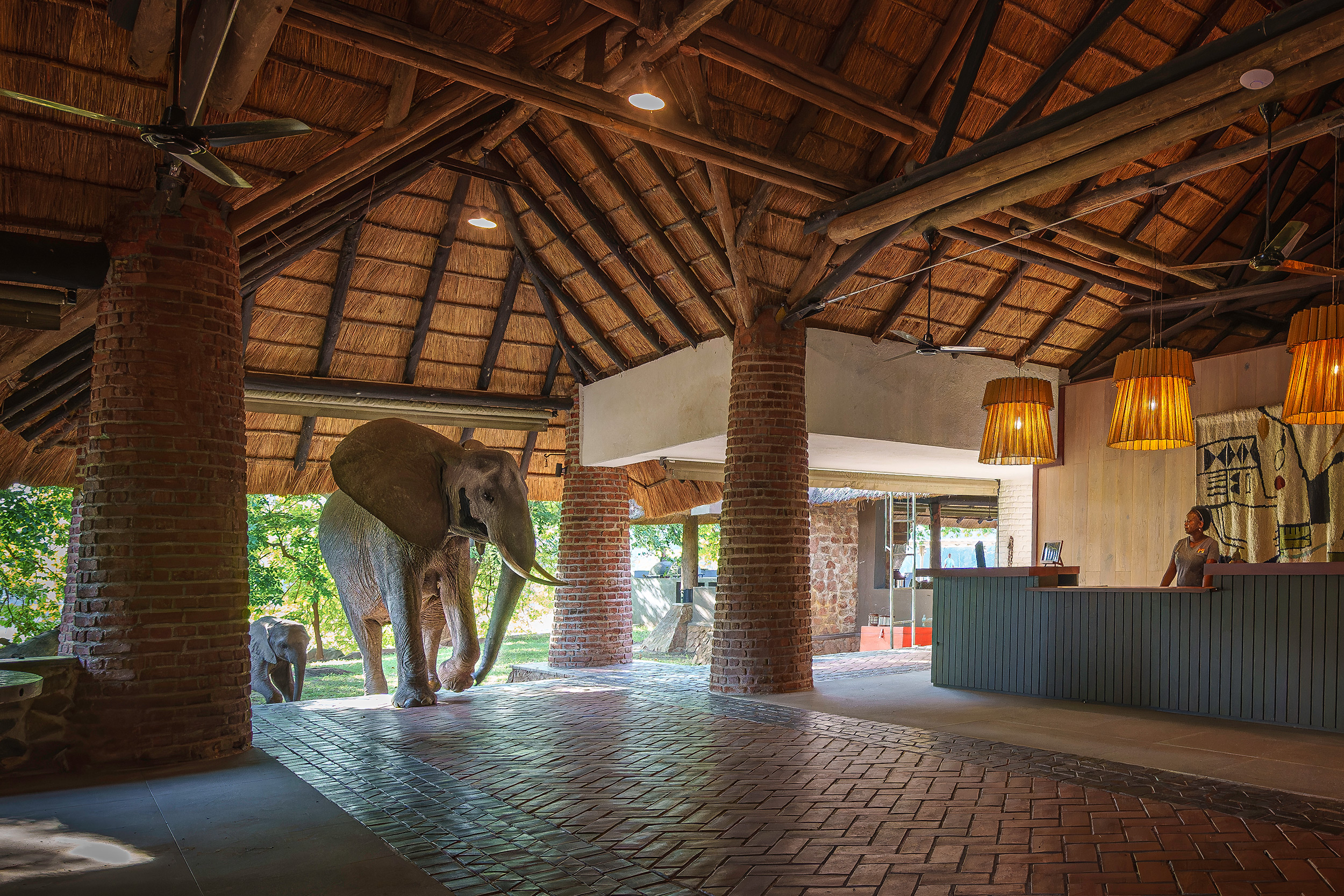 Mfuwe Lodge Honored in 2025 Travel + Leisure Awards