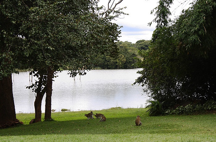 The safari at Nsobe game camp