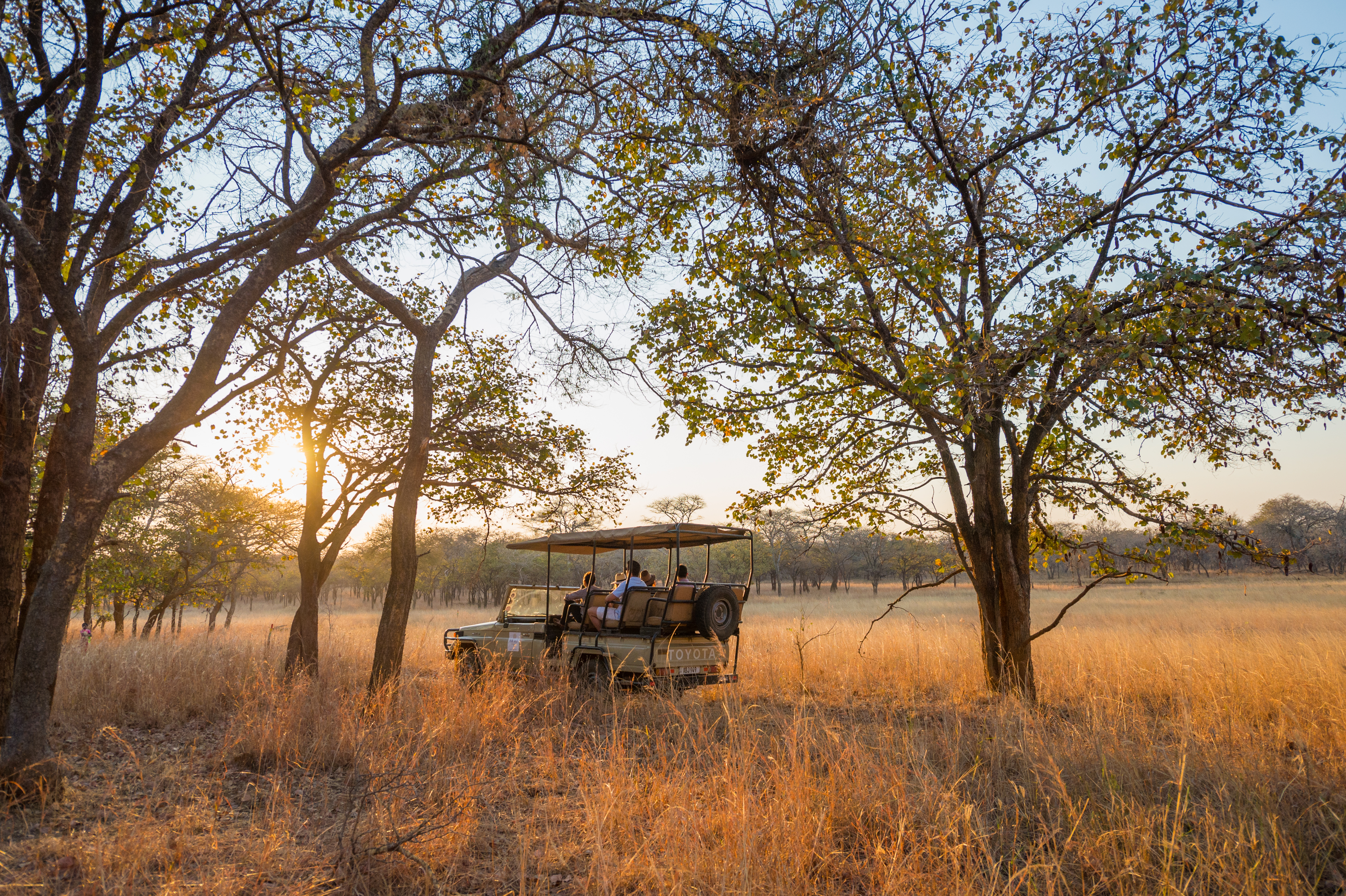 Lilayi Lodge