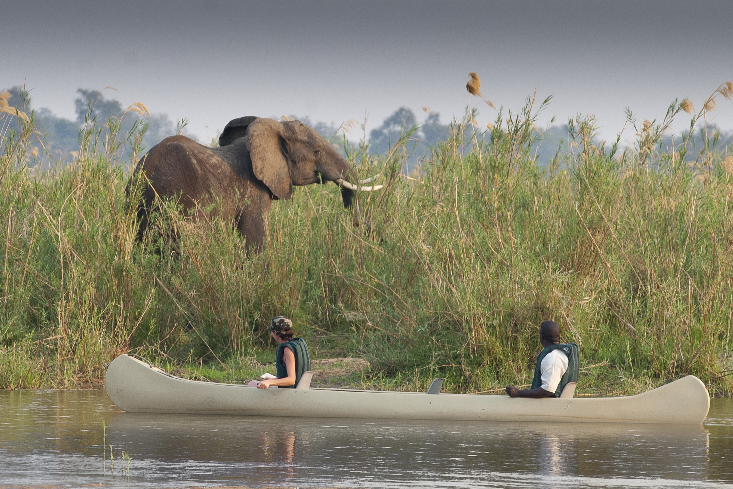 Canoe Safari