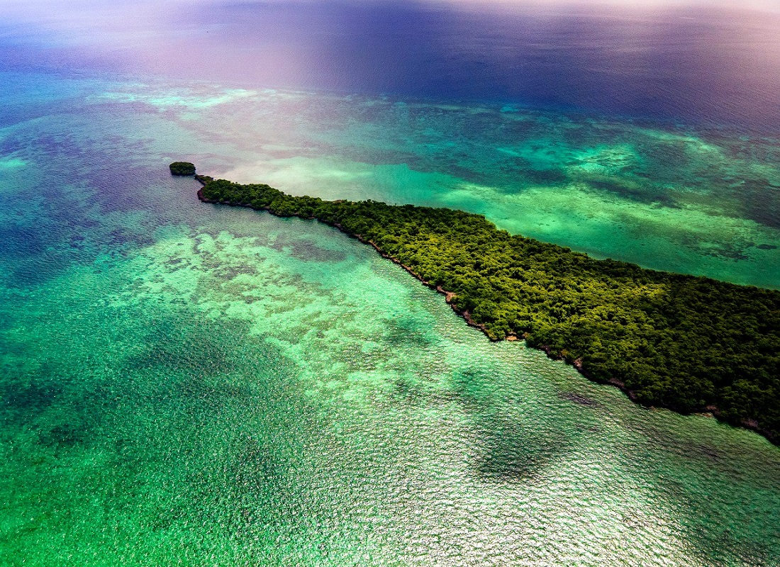 Beach Aerial View