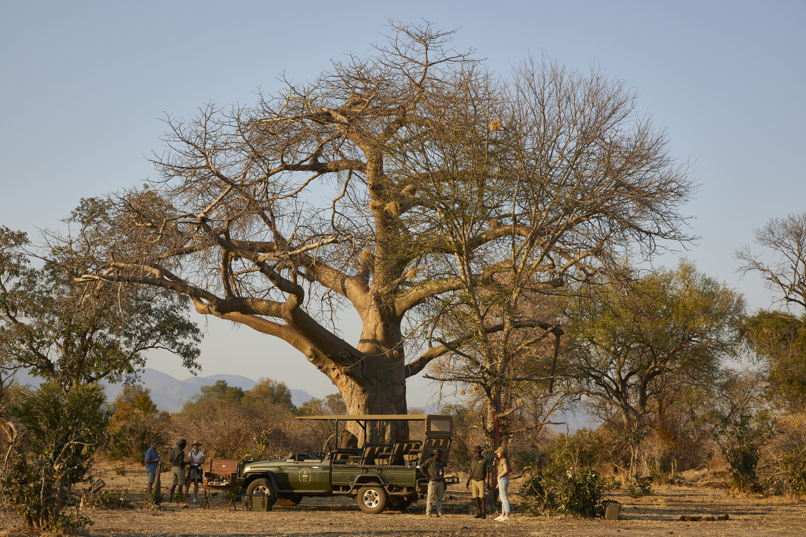 Safari