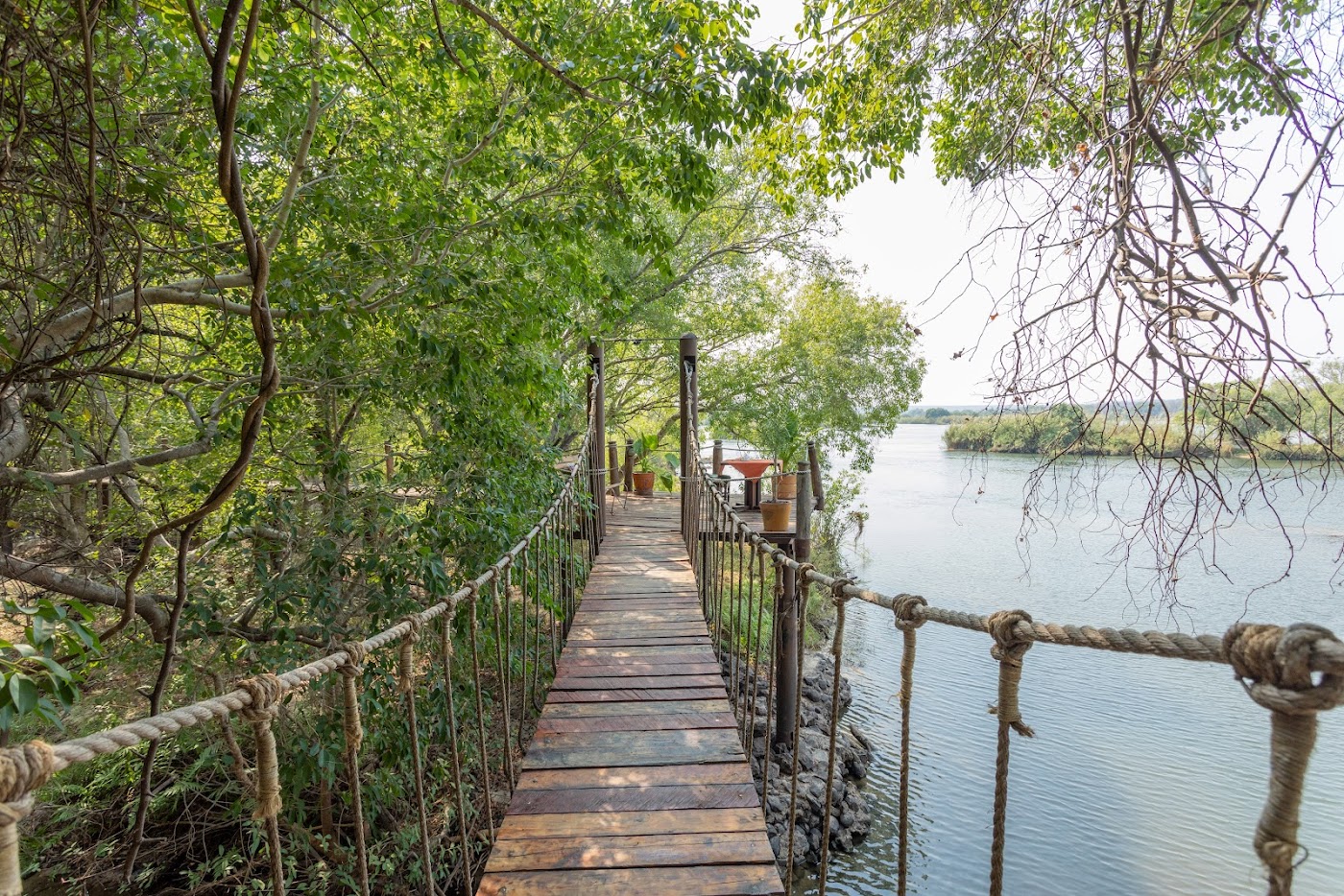 Hanging Bridge