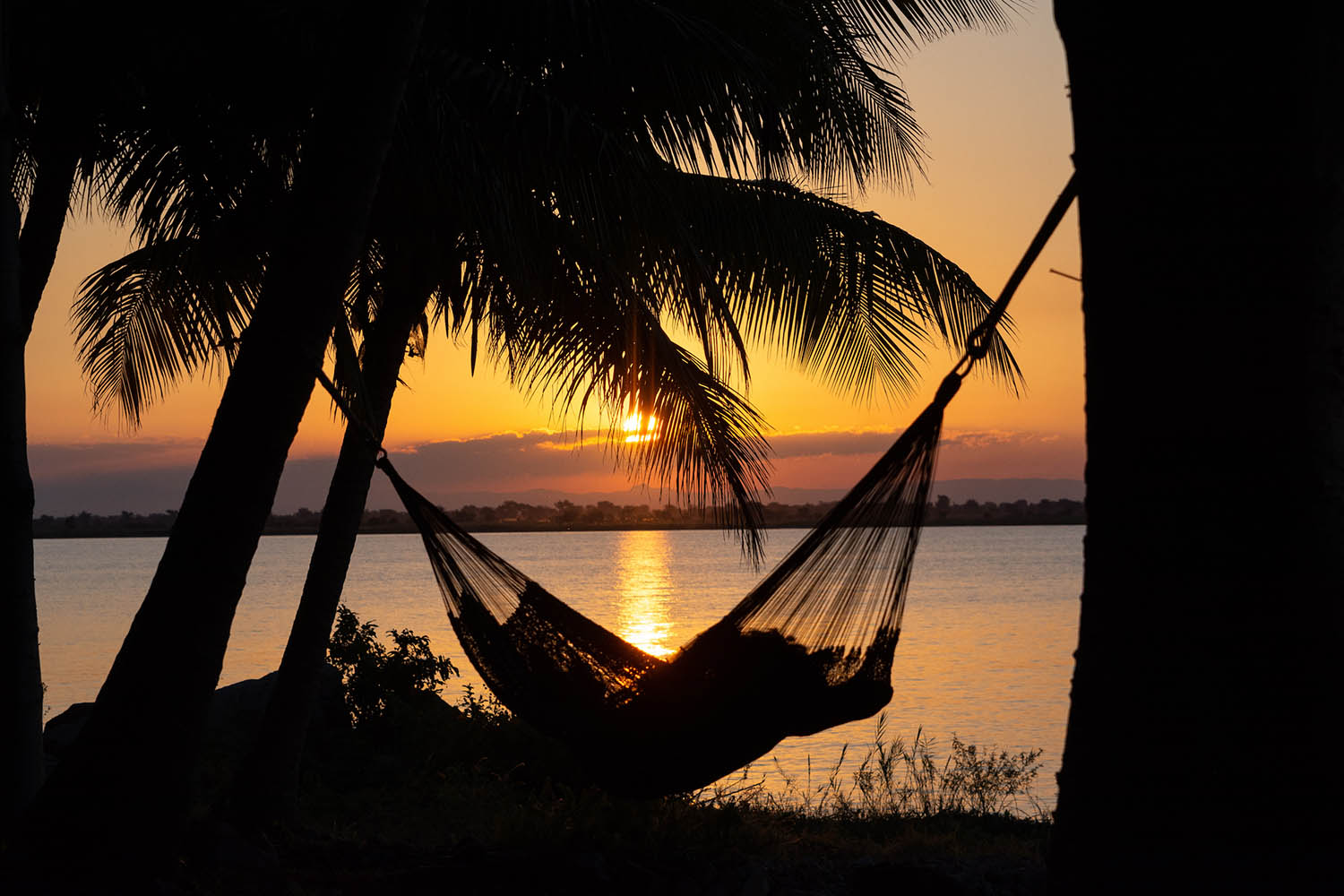 Blue Zebra Hammock Sunset