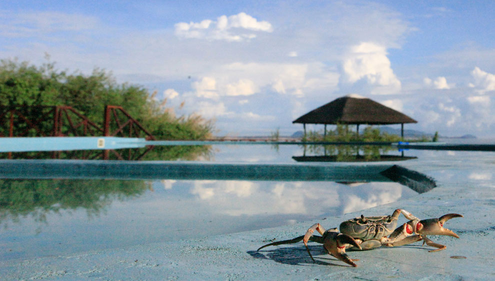 Blue Zebra Island Lodge