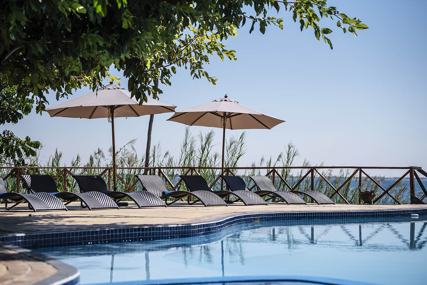 Blue Zebra Island Lodge - Pool water views