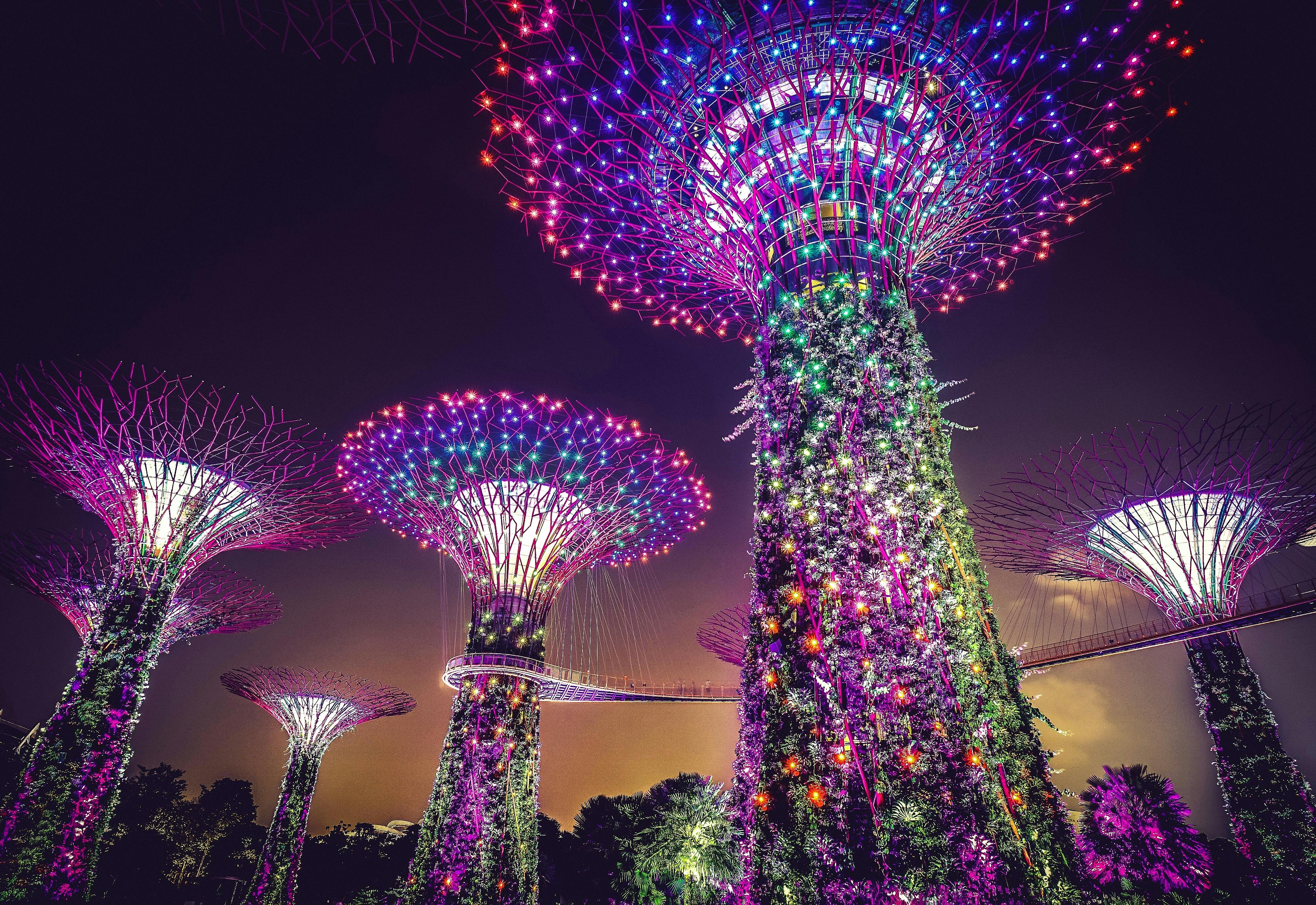 Gardens By The Bay