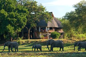 Luangwa Safari