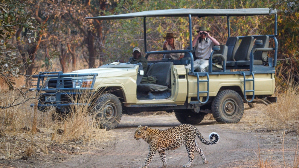 Game Drive