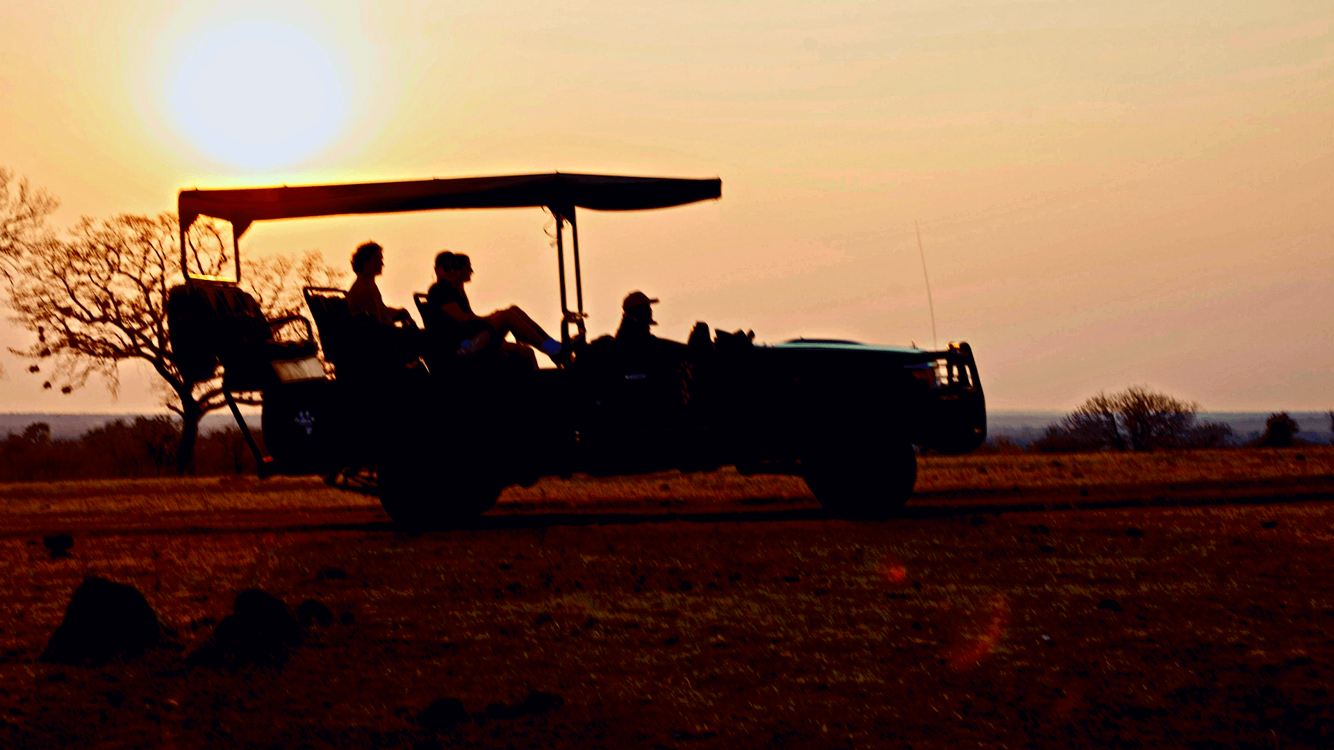 Thornicroft game drive