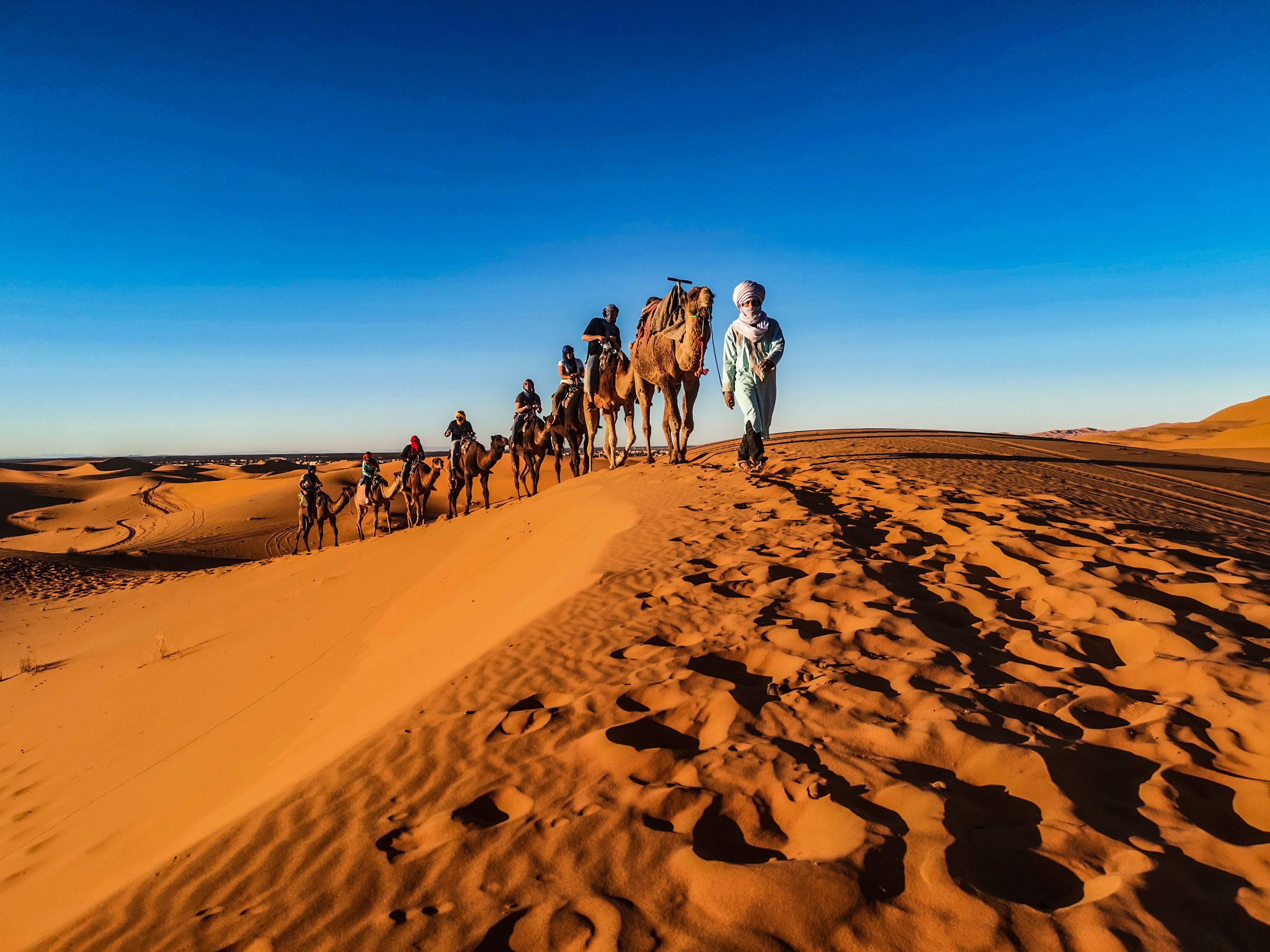 Sahara Desert, Camel Trekking
