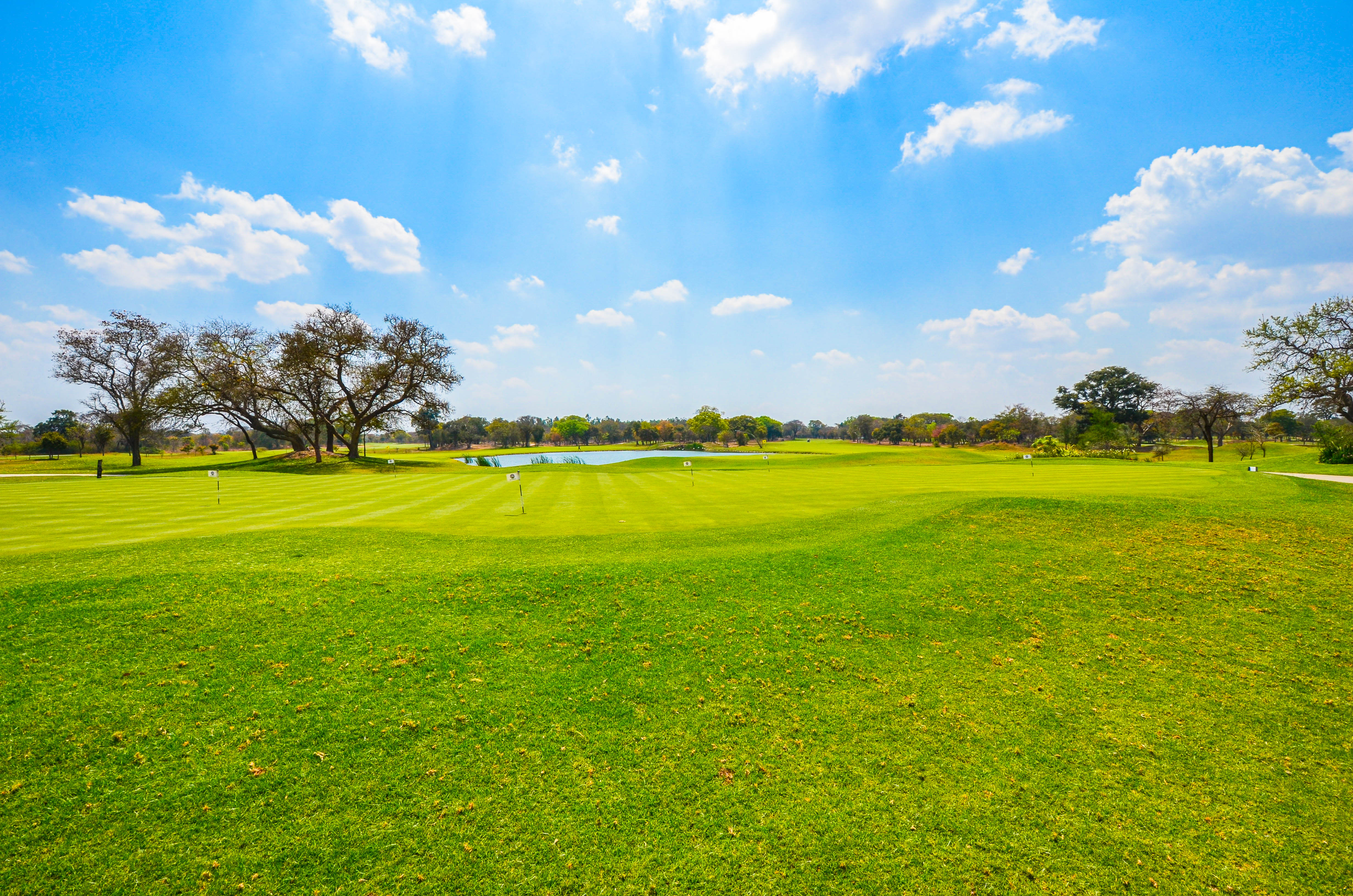 Golf at Ciela Resort