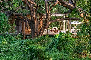 Chinzombo Camp – South Luangwa National Park