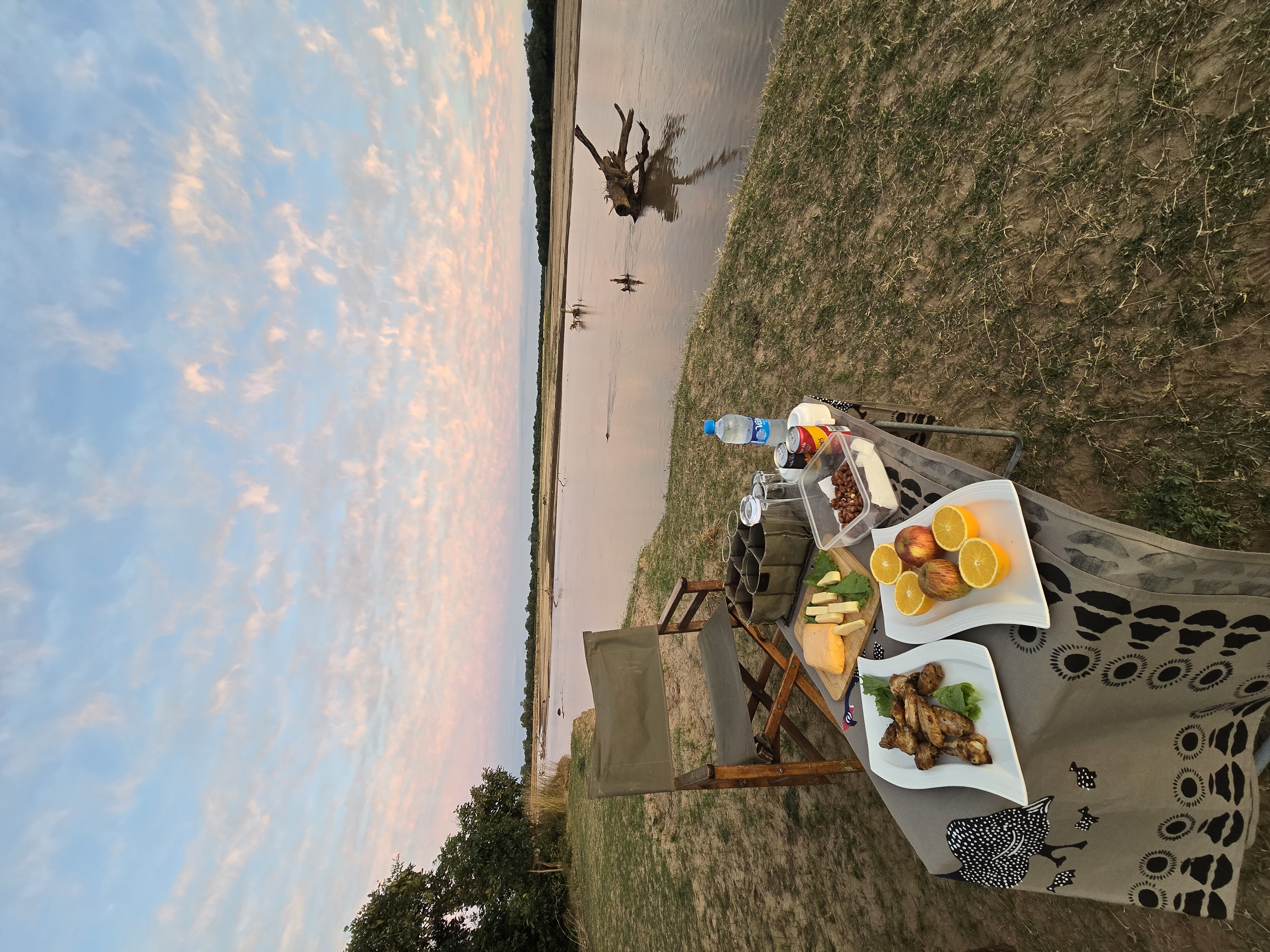 Safari Meal Out