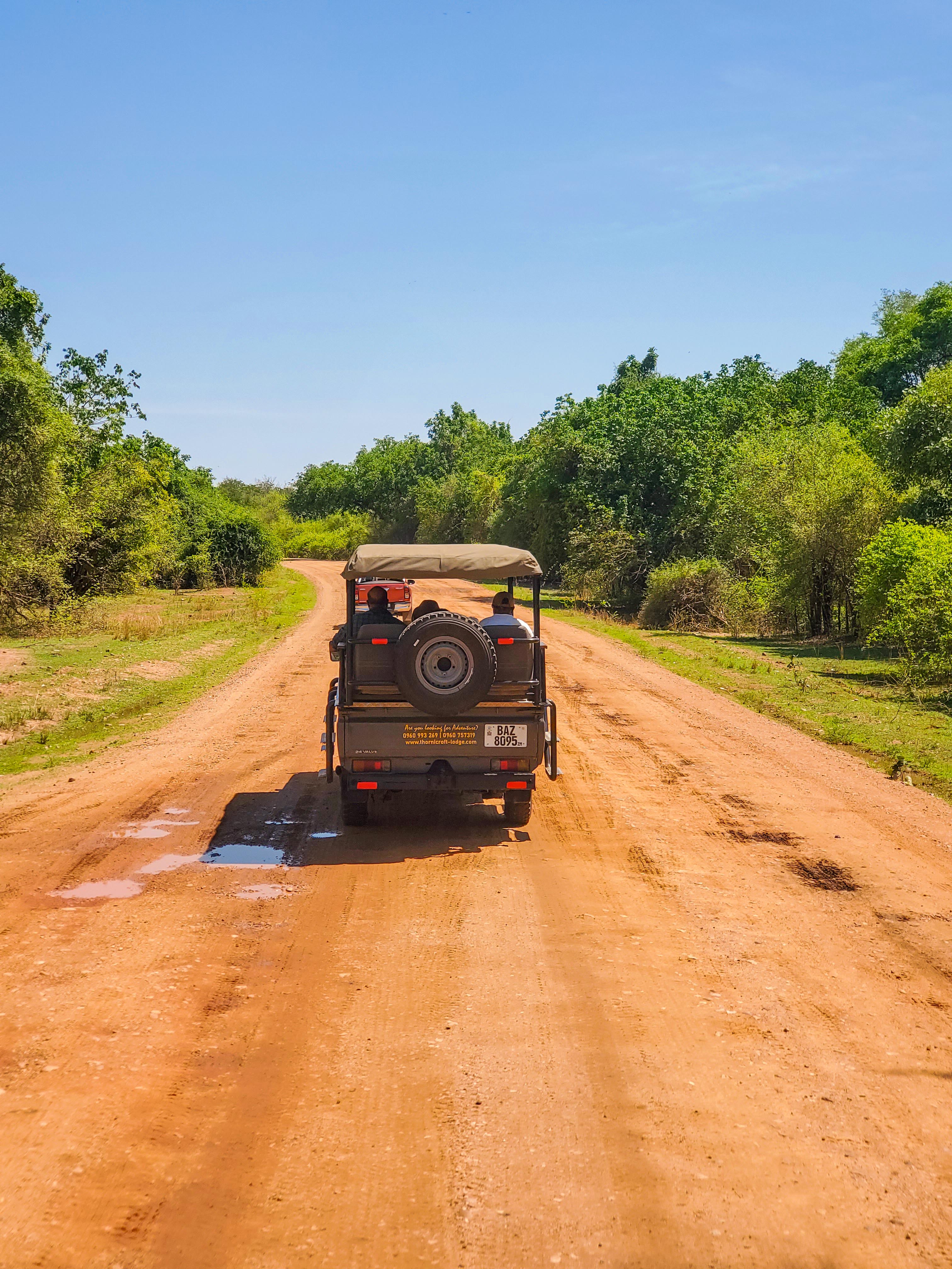 Safari Drive
