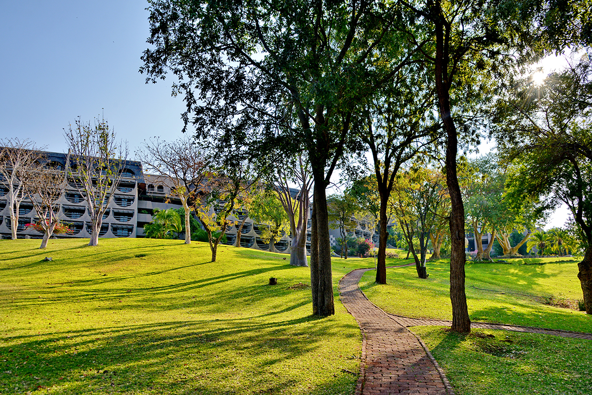 Nature walking path