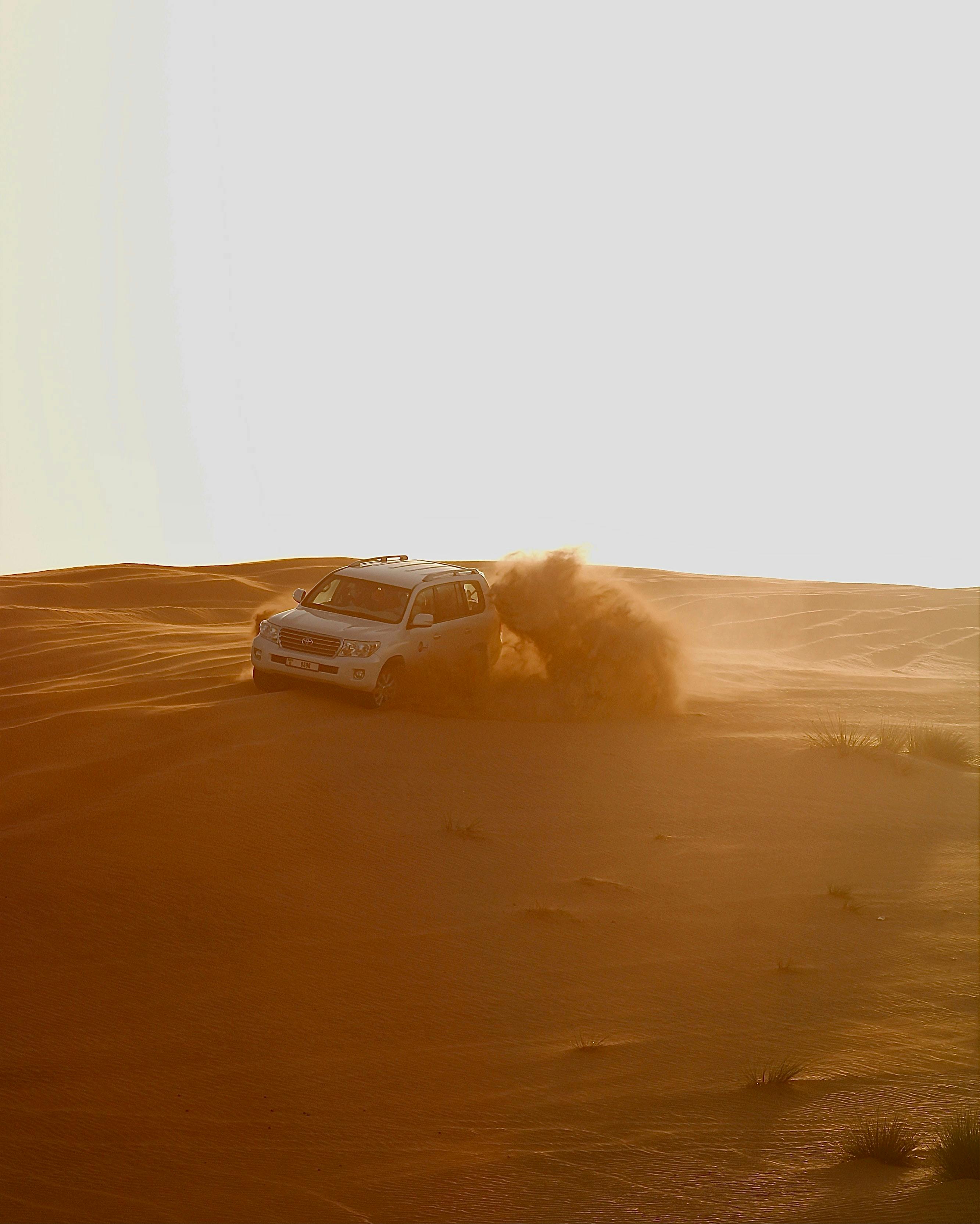 Desert Safari