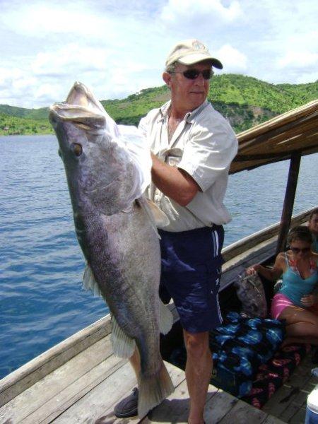 25kg Nile Perch