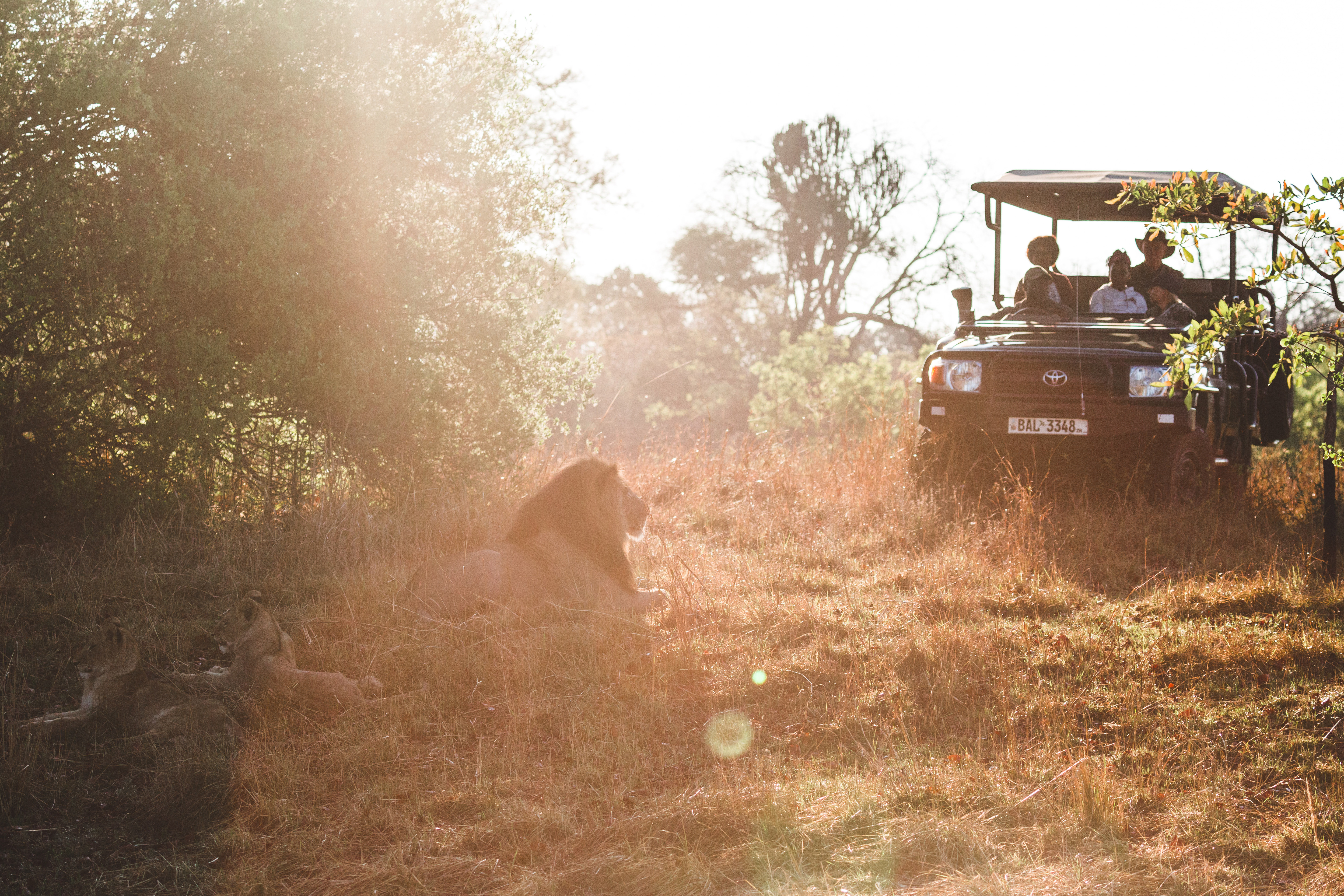 Game drive at Musekese Camp