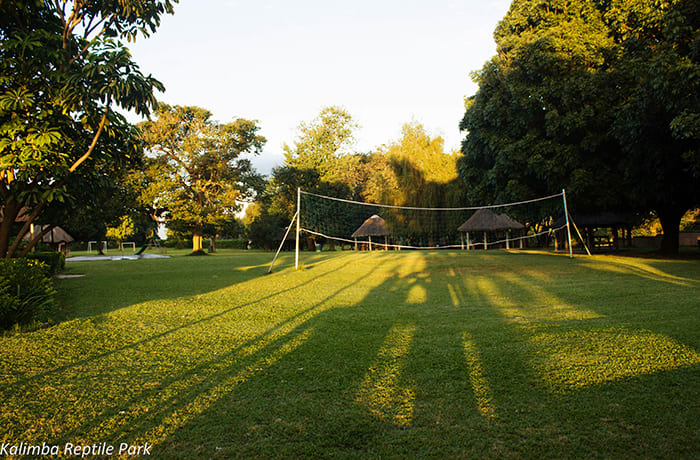 Kalimba Reptile Park
